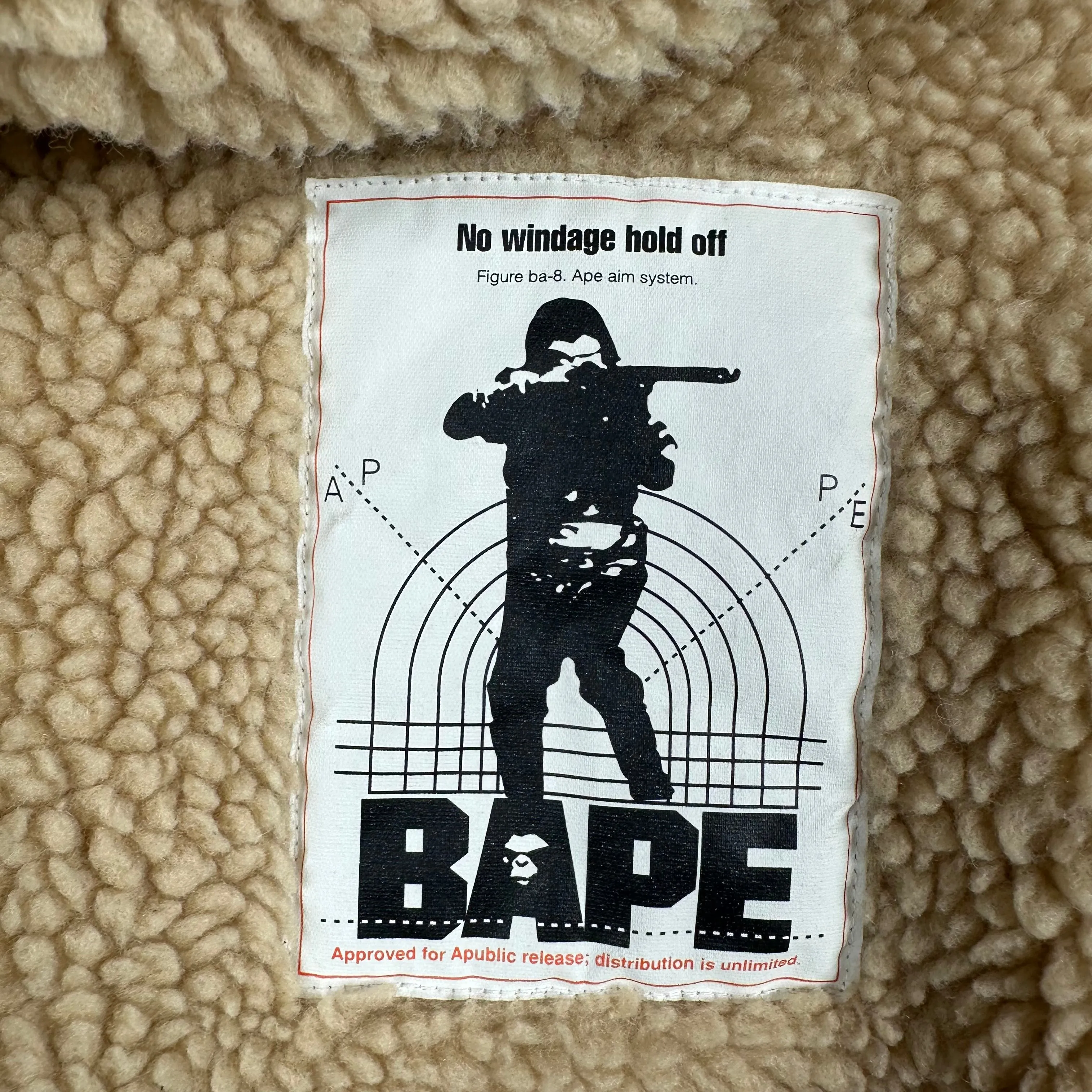 Bape Boa Snowboard Jacket