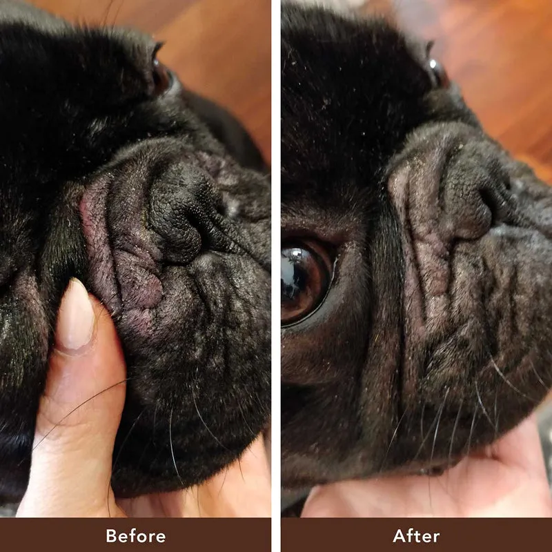 Natural Dog Company Wrinkle Balm